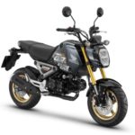 HONDA MSX125 GROM ABS