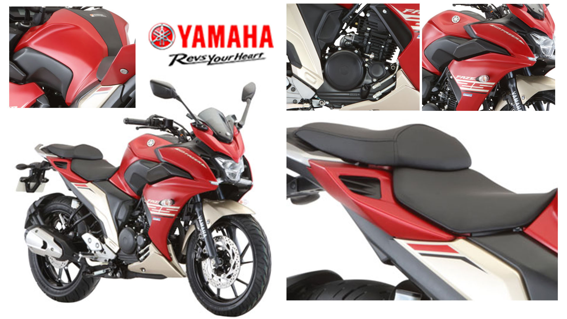 Yamaha FAZER250 現車領鐵牌