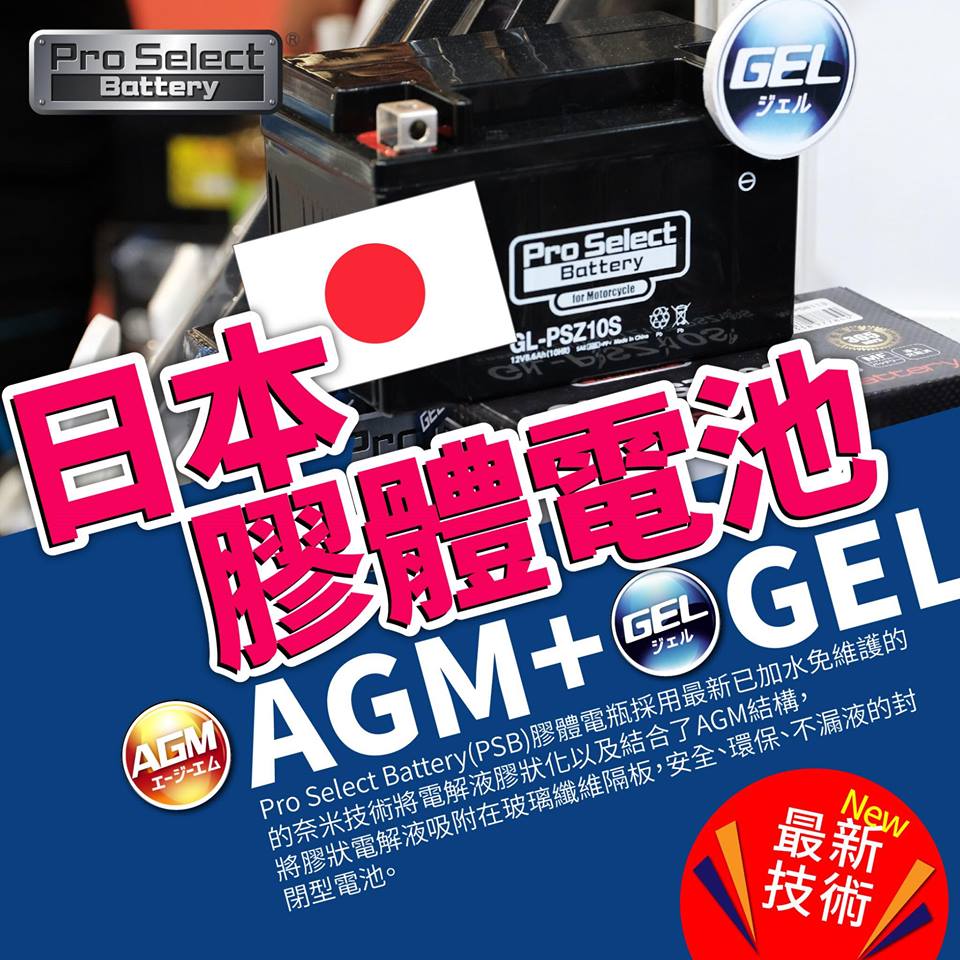 Pro Select Battery膠體電池