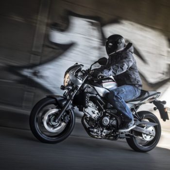 BILDER SUZUKI SV650X 經典日系新古典美學