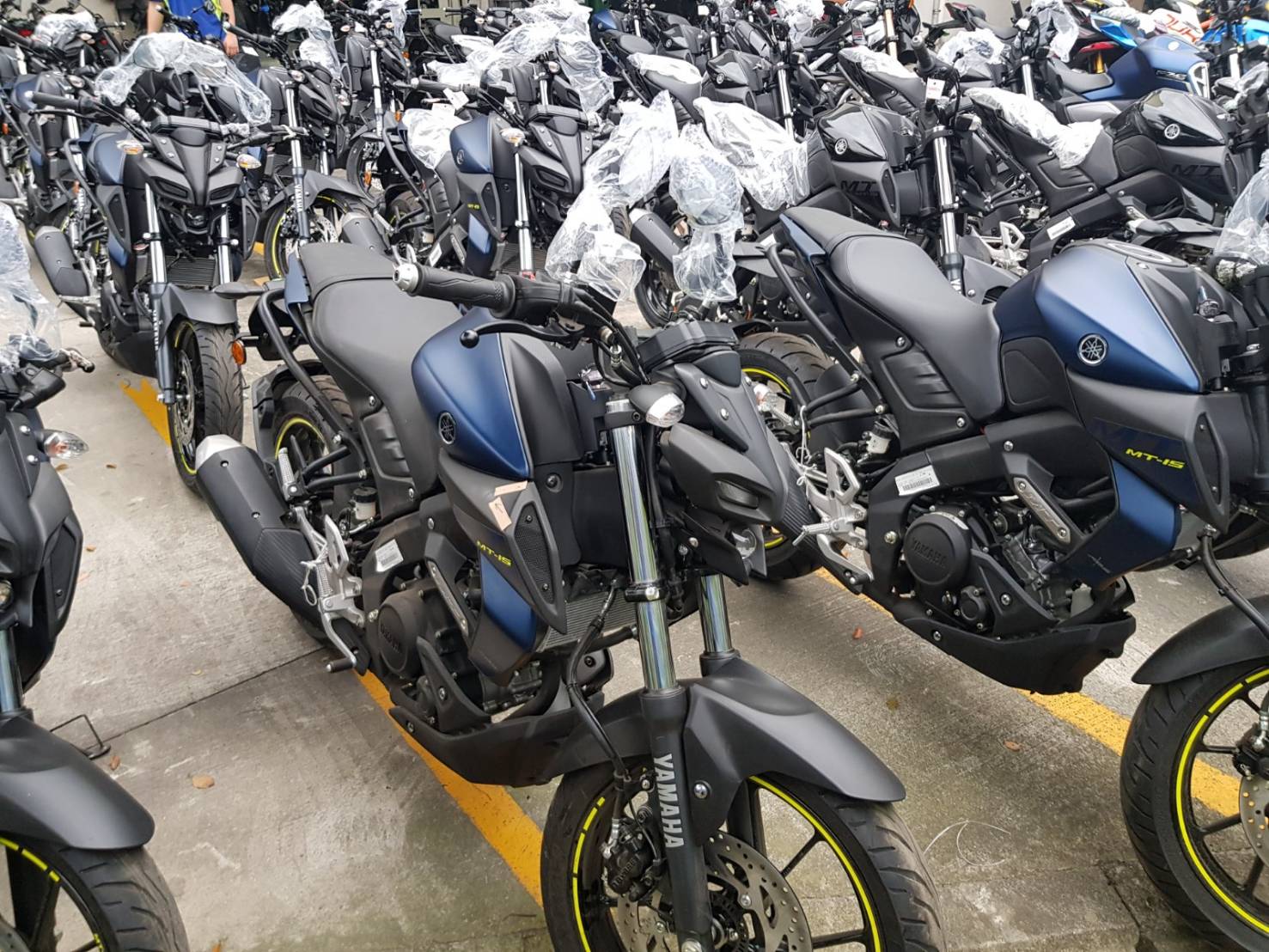 2019 YAMAHA 最新輕檔車 MT-15新車到港