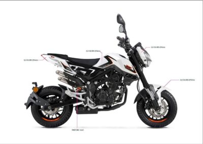 _2022__benelli__tnt_135_____tn_1655532893_d269db1b_progressive